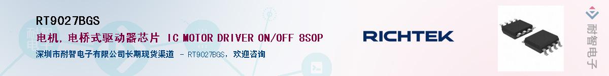 RT9027BGS������-�������