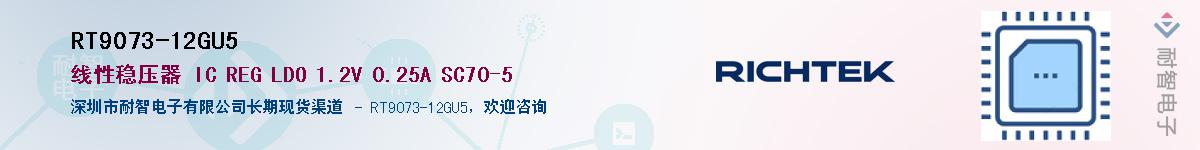 RT9073-12GU5������-�������