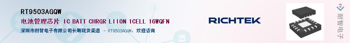 RT9503AGQW������-�������