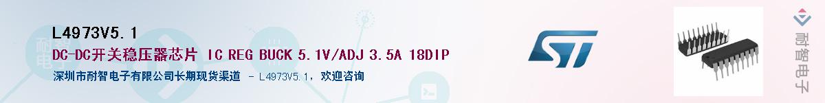 L4973V5.1������-�������