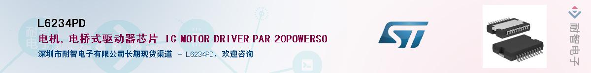 L6234PD������-�������