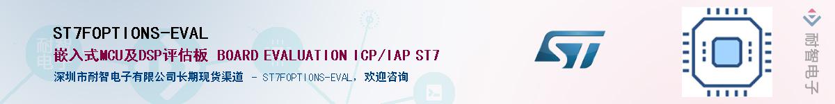 ST7FOPTIONS-EVAL������-�������