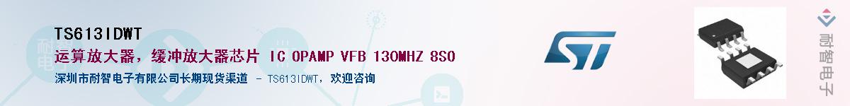 TS613IDWT������-�������