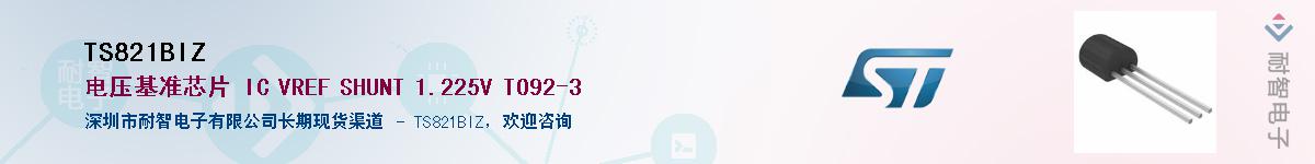 TS821BIZ������-�������