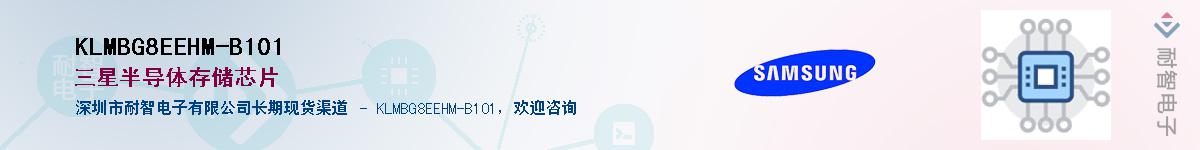 KLMBG8EEHM-B101������-�������