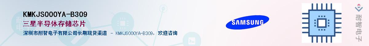 KMKJS000YA-B309������-�������