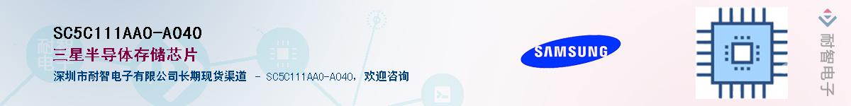 SC5C111AAO-A040������-�������