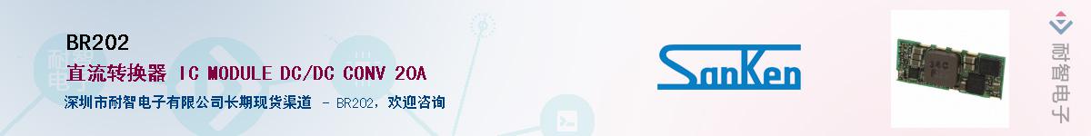 BR202������-�������