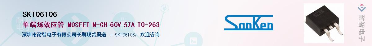 SKI06106������-�������