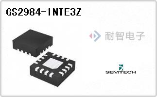 GS2984-INTE3Z