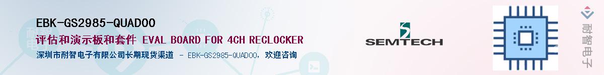 EBK-GS2985-QUAD00����(y��ng)��-�������