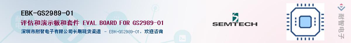 EBK-GS2989-01������-�������