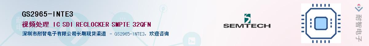 GS2965-INTE3������-�������