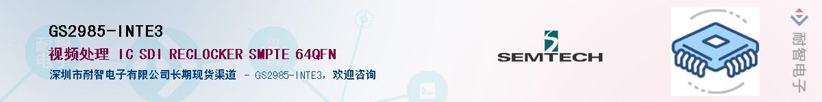 GS2985-INTE3������-�������