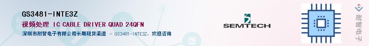 GS3481-INTE3Z������-�������