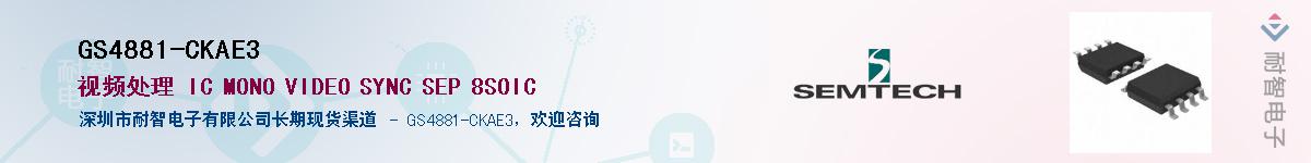 GS4881-CKAE3������-�������