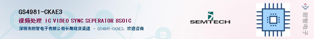 GS4981-CKAE3������-�������