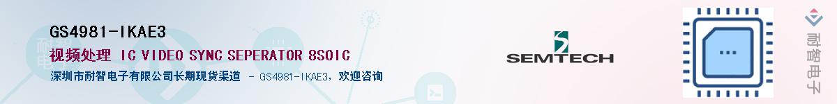 GS4981-IKAE3����(y��ng)��-�������