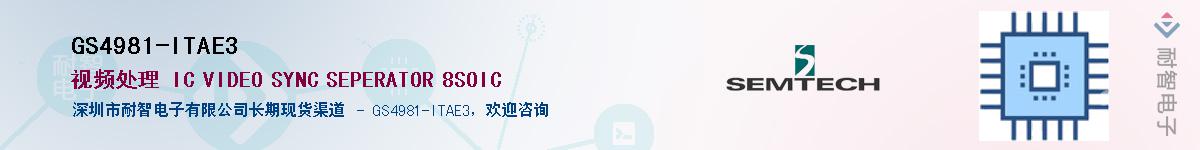 GS4981-ITAE3����(y��ng)��-�������