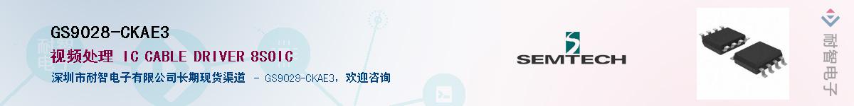 GS9028-CKAE3����(y��ng)��-�������