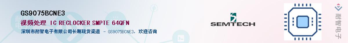 GS9075BCNE3������-�������