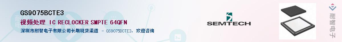 GS9075BCTE3������-�������