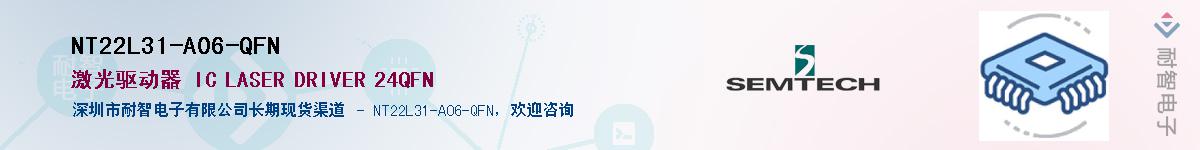 NT22L31-A06-QFN������-�������