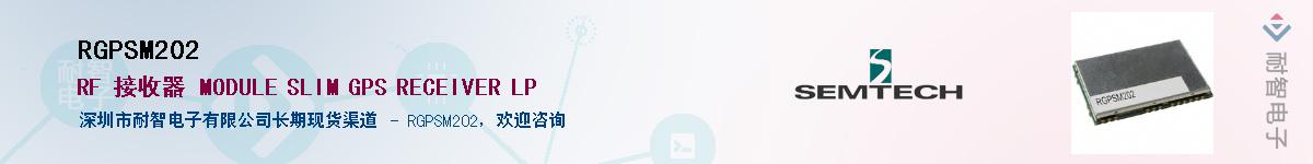 RGPSM202������-�������