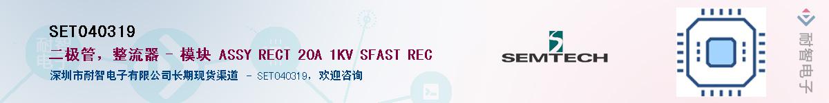 SET040319������-�������