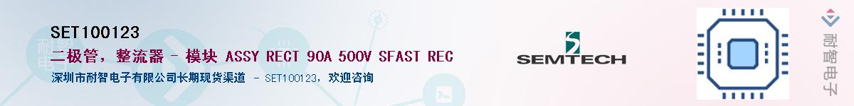 SET100123������-�������