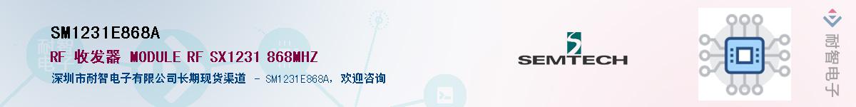 SM1231E868A������-�������