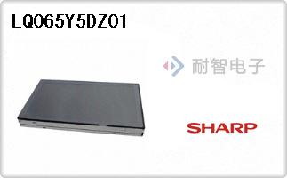 LQ065Y5DZ01
