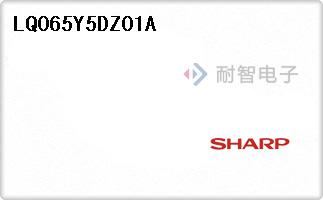 LQ065Y5DZ01A