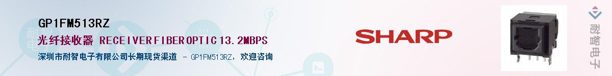 GP1FM513RZ������-�������
