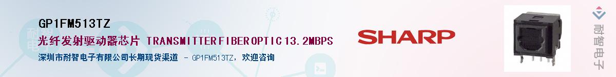GP1FM513TZ������-�������
