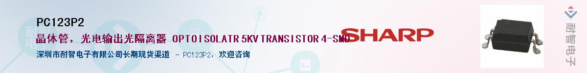 PC123P2������-�������