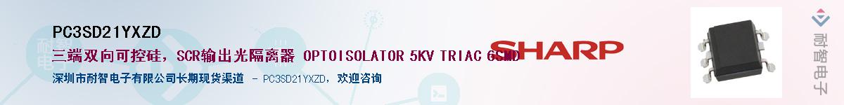 PC3SD21YXZD������-�������