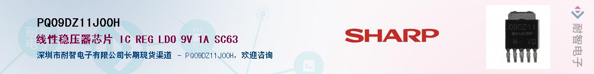 PQ09DZ11J00H������-�������