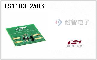 TS1100-25DB