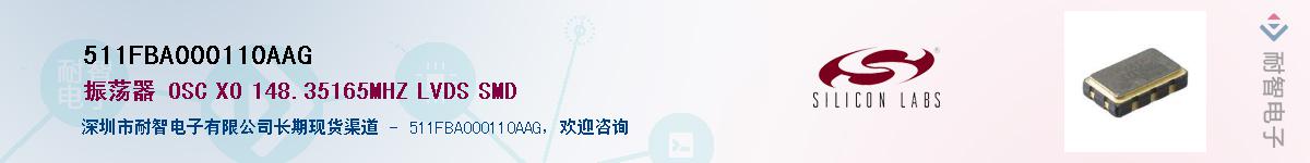 511FBA000110AAG������-�������