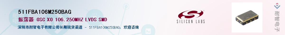 511FBA106M250BAG������-�������