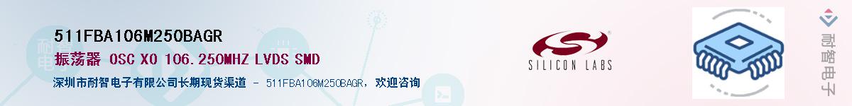 511FBA106M250BAGR����(y��ng)��-�������