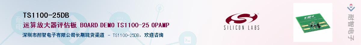 TS1100-25DB����(y��ng)��-�������