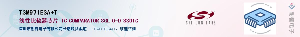 TSM971ESA+T����(y��ng)��-�������