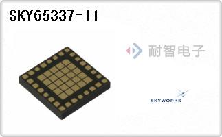 SKY65337-11