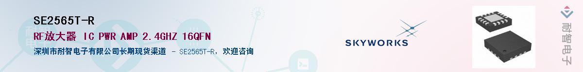 SE2565T-R����(y��ng)��-�������