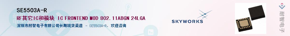 SE5503A-R������-�������