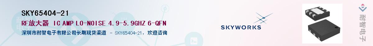 SKY65404-21������-�������