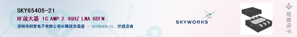SKY65405-21����(y��ng)��-�������