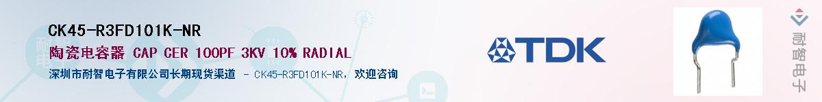 CK45-R3FD101K-NR������-�������